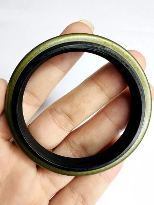 Phốt bụi sắt DKB 75*89*8/11 NOK - Hình ảnh 4