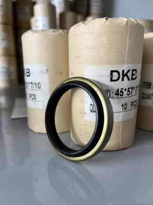 Phốt bụi sắt DKB 250*275*12/17 NOK - Hình ảnh 4