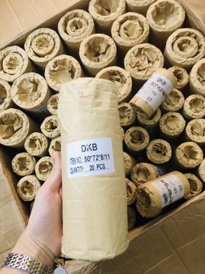Phốt bụi sắt DKB 170*190*10/14 NOK