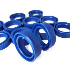 Phot chan bui odu-piston-and-rod-hydraulic-clyinder-seal
