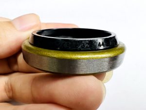 Phốt bụi sắt DKB 20*32*6/9 NOK