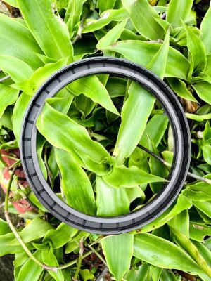 Phốt chắn dầu 85*140*12 TG/TC SVKS