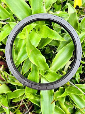 Phốt chắn dầu 30*52*7 TG/TC SVKS - Hình ảnh 3