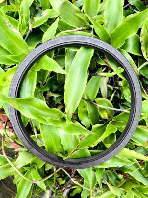 Phốt chắn dầu 90*120*12 TG/TC SVKS - Hình ảnh 2