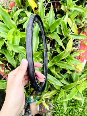 Phốt chắn dầu 45*72*10 TG/TC SVKS