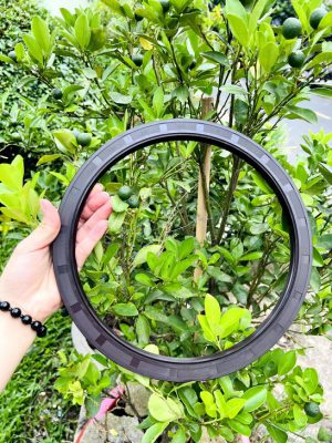 Phốt chắn dầu 130*150*16 TG/TC SVKS