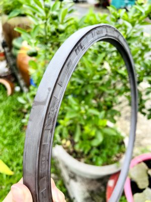 Phốt chắn dầu 80*120*10 TG/TC SVKS