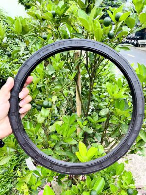 Phốt chắn dầu 28*47*7 TG/TC SVKS