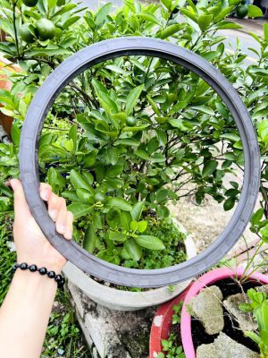Phốt chắn dầu 28*47*10 TG/TC SVKS