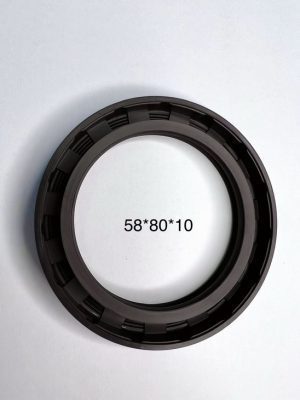 Phốt chắn dầu 25*42*8 TG/TC SVKS