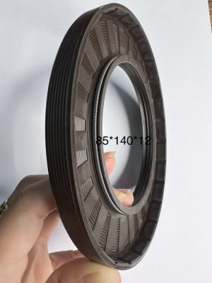 Phốt chắn dầu 95*170*10 TG/TC SVKS