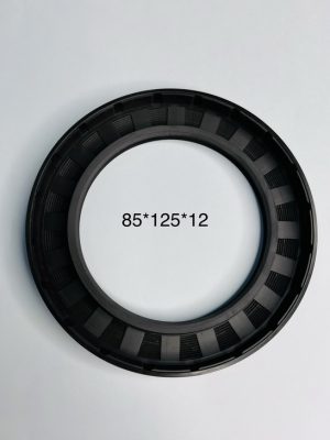 Phốt chắn dầu 100*130*13 TG/TC SVKS - Hình ảnh 2