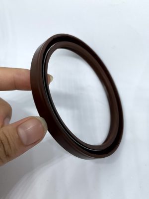 Phốt chắn dầu 100*125*12 TG/TC SVKS - Hình ảnh 2