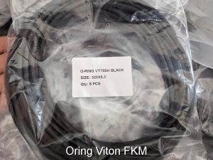 Oring chiu nhiệt Viton FKM