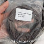 Oring chiu hoa chat Viton FKM