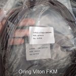 Oring chiu hoa chat Viton FKM