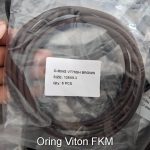 Oring chiu hoa chat Viton FKM