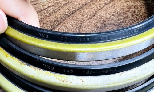 Phot chan bui DKB 120 140